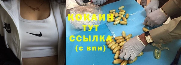 стаф Заводоуковск